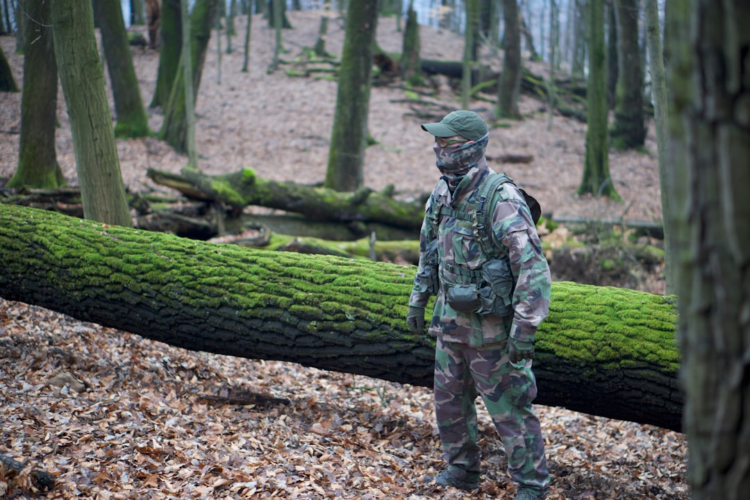 Photo Forest camouflage